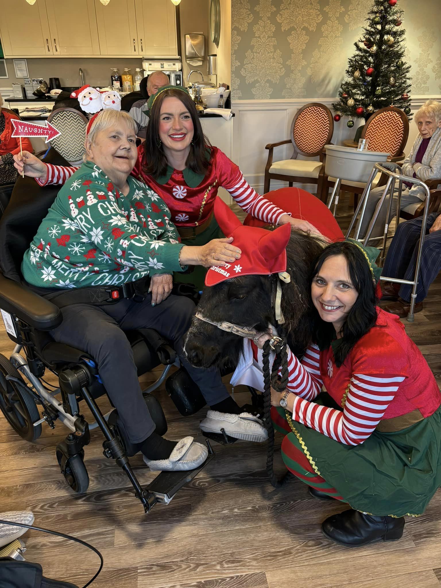 Miniature Shetland Pony Helps Care Home Residents Saddle Up For