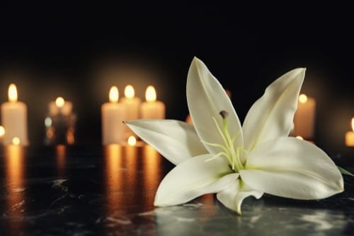 white flowers and candles