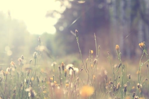 funeral directors Shipley