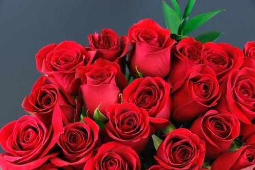 Red roses bunch